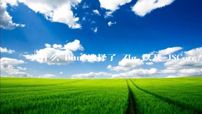 为什么 Bun 选择了 Zig 以及 JSCore？