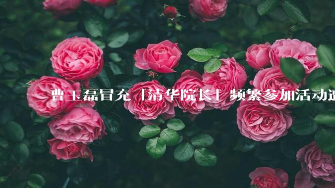 曹玉磊冒充「清华院长」频繁参加活动遭官方打***，他为何能堂而皇之以***身份开展活动？其将受到哪些处罚？