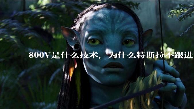 800V是什么技术，为什么特斯拉不跟进？