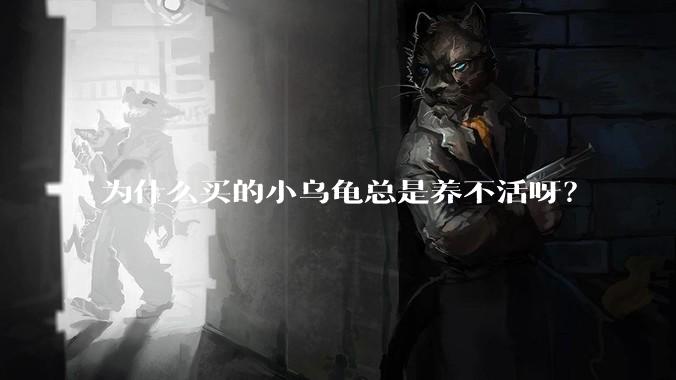 为什么买的小乌龟总是养不活呀？