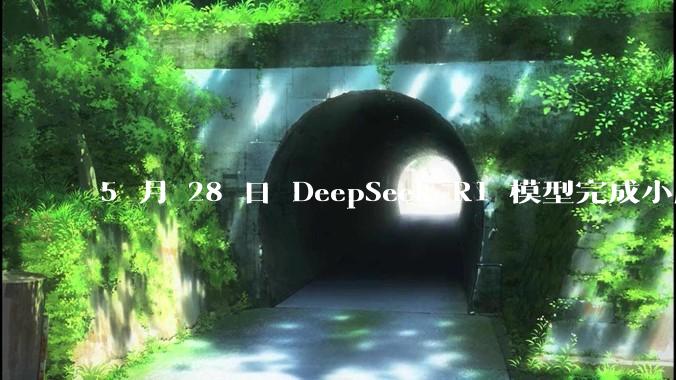 5 月 28 日 DeepSeek R1 模型完成小版本试升级并开源，具体有哪些提升？使用体验如何？