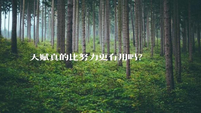 天赋真的比努力更有用吗？
