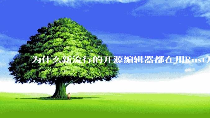 为什么新流行的开源编辑器都在用Rust开发？