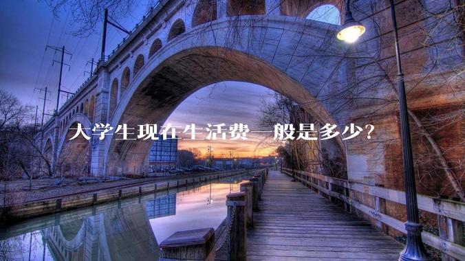 大学生现在生活费一般是多少？