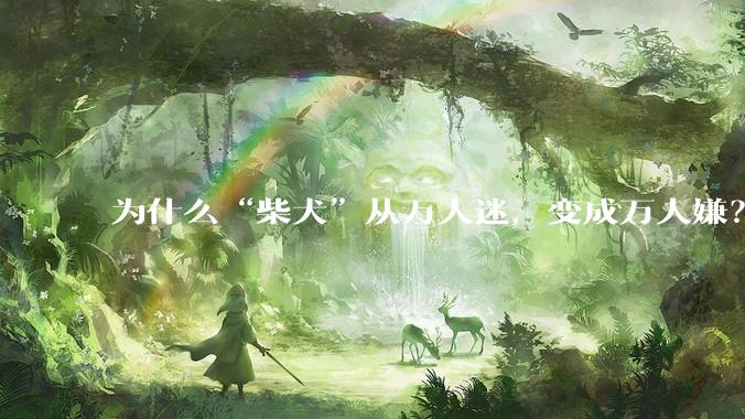 为什么“柴犬”从万人迷，变成万人嫌？