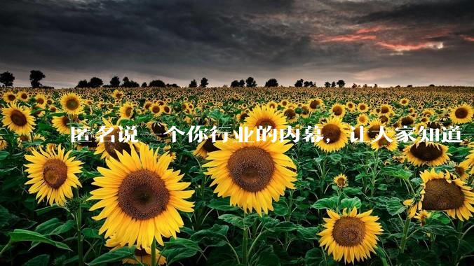 匿名说一个你行业的内幕，让大家知道一下好不？