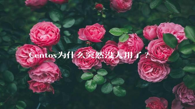 Centos为什么突然没人用了?