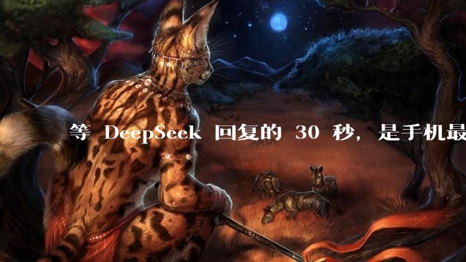 等 DeepSeek 回复的 30 秒，是手机最好玩的半小时_Code_屏幕_思考