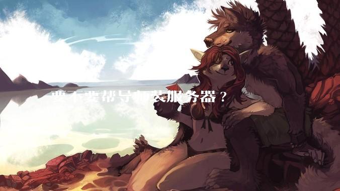 要不要帮导师装服务器?
