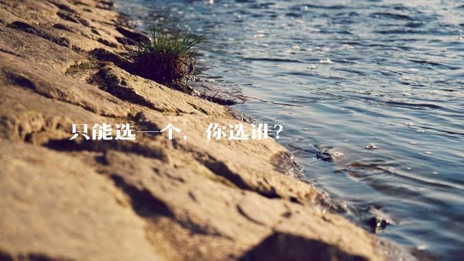 只能选一个，你选谁？