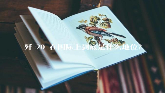 歼-20 在国际上到底是什么地位？