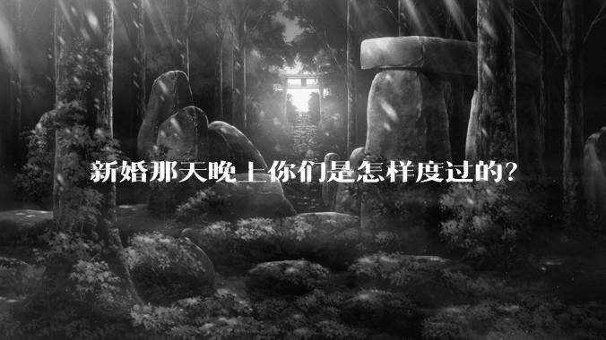 新婚那天晚上你们是怎样度过的？