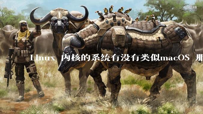 Linux 内核的系统有没有类似macOS 那样漂亮流畅的桌面环境的发行版本?