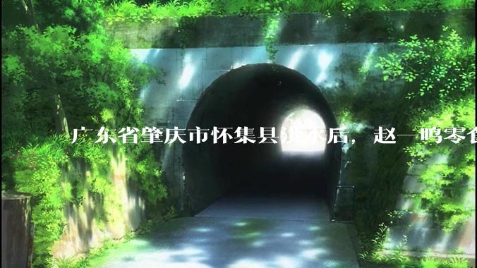 广东省肇庆市怀集县洪水后，赵一鸣零食店被哄抢，物资和收银机里面的几千块钱被哄抢一空，如何评价？