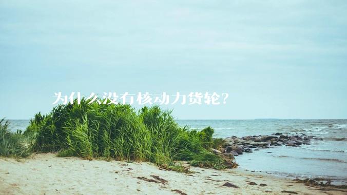 为什么没有核动力货轮？