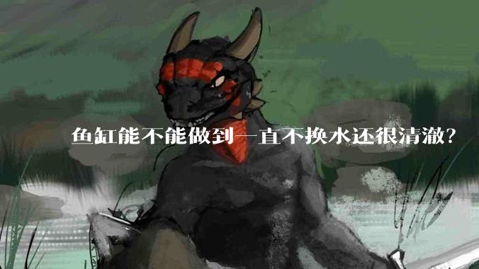 鱼缸能不能做到一直不换水还很清澈？