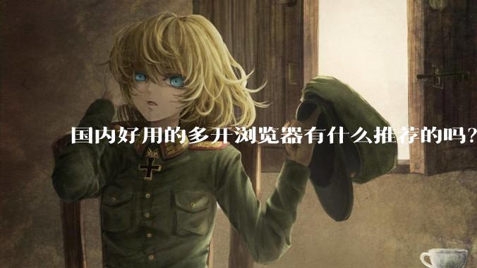 国内好用的多开浏览器有什么推荐的吗？