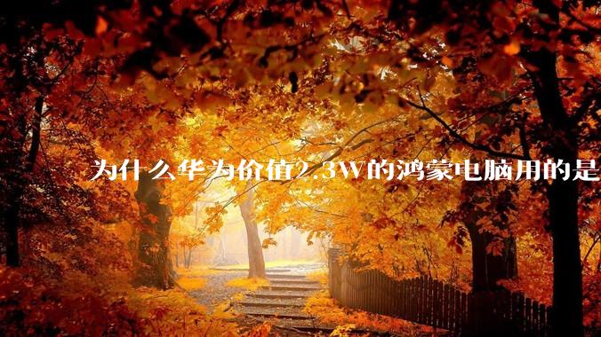 为什么华为价值2.3W的鸿蒙电脑用的是美国西数的中低固态硬盘？？