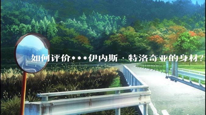如何评价***伊内斯·特洛奇亚的身材？