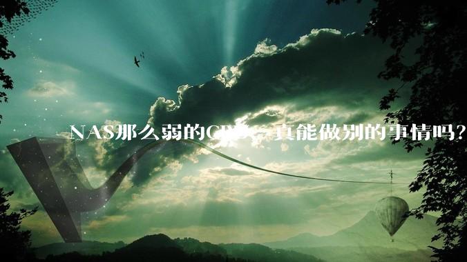 NAS那么弱的CPU，真能做别的事情吗？