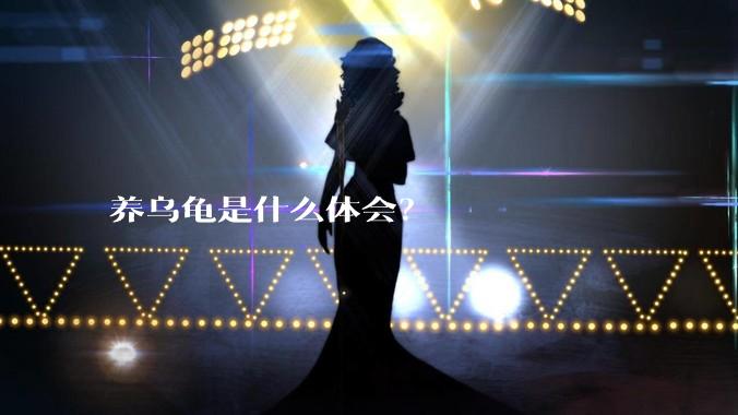 养乌龟是什么体会？