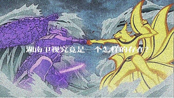 湖南卫视究竟是一个怎样的存在？